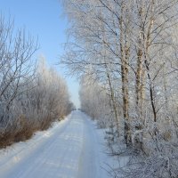 зимняя дорога :: ИННА ПОРОХОВА