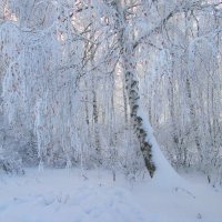 Листья и снег :: Михаил Пахомов