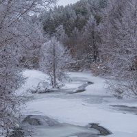 Река Уза в феврале :: Вера Сафонова