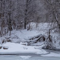 Река Уза в феврале :: Вера Сафонова