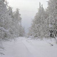 зима :: Алексей Логинов