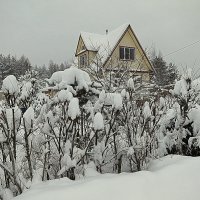 Зимой на даче. :: Валентина Жукова