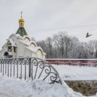 Про Мороз :: Владимир Колесников