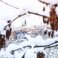 Winter in Luxembourg :: Alena Kramarenko