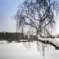зима :: Валерия Ширковцова