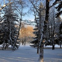 первый снег :: Лариса Крышталь 