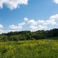 *** :: Владимир Безбородов