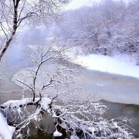 Первый снег :: Лариса Крышталь 