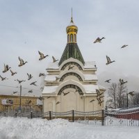 Январский мороз :: Владимир Колесников
