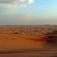 Пустыня красива  и непредсказуема. :: Виталий Селиванов 