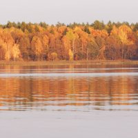 Ещё раз озеро и золотая осень :: Анатолий Кувшинов