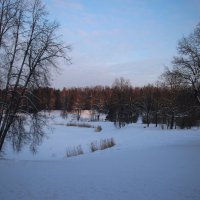 Павловский парк. Январь :: Наталья Герасимова