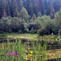 В Карпатах :: Роман Савоцкий