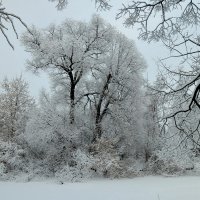 Снегопад в феврале :: Светлана 