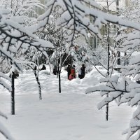 Такого снегопада давно не помнит наш парк. :: Татьяна Помогалова