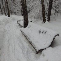 Февраль - месяц снежный (не на Таити, конечно) :: Андрей Лукьянов