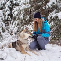 Светлана и волк Дольф :: Светлана Смирнова