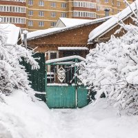 снегопад :: Петр Беляков