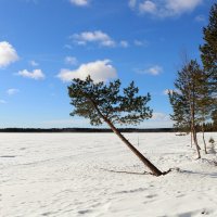 Весенние прогулки :: Ольга 