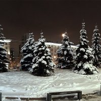 Ели у Метрополиса после снегопада :: Андрей Мелехов 