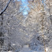 Февральское настроение :: Алексей Михалев