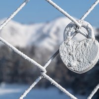 Замёрзшее счастье :: Андрей Пристяжнюк