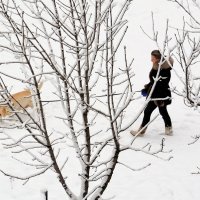 Прогулка по зиме :: Ольга (crim41evp)