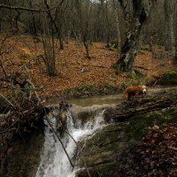 "Хоть не много еще постою, на краю" :: Михаил Баевский