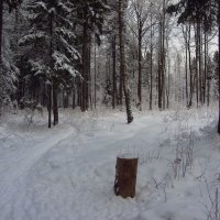 Всё еще зима :: Андрей Лукьянов