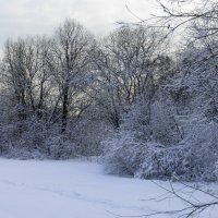 Много снега намело! :: Татьяна Лобанова