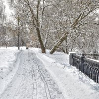 Прогулки в Зимнем Парке :: юрий поляков