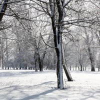 зима :: Владимир Холодницкий