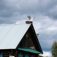 Аист на крыше... :: Нэля Лысенко