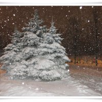 Снегопад! :: Ирина Олехнович