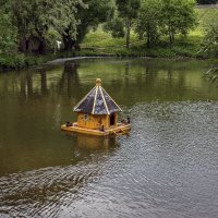 Утиный домик :: gribushko грибушко Николай