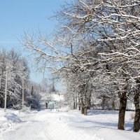 зима :: Владимир Холодницкий