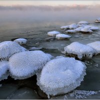 Зимняя Балтика (2) :: Николай Кувшинов