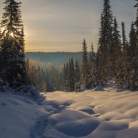 "Лютень. Утро Зимнего Леса." :: Максим Токарев