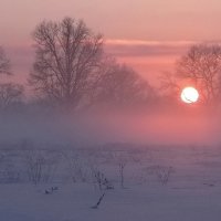 Зимний закат! :: Владимир Шошин