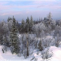 16 февраля 2019г.Таганай. Чёрная скала. Виды. :: Александр Шимохин