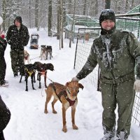 ДЮСКЦ  Северный - питомник северных ездовых собак :: Евгений Кочуров