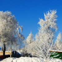 Самый красивый день зимы :: Наталья Красильникова