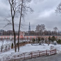 "А в Донском монастыре зимнее убранство..." :: Ирина Шарапова