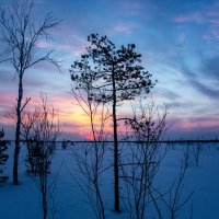 Рассвет на озере :: Денис Григорьев