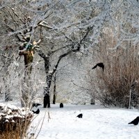 Птицы на снегу :: Мария 