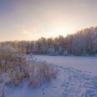 Зима на озере :: Vladimbormotov 
