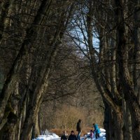 Павловск. :: Владимир Питерский