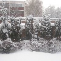 Зима,зима.. :: Елена Семигина