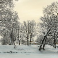 Зима :: Владимир Колесников