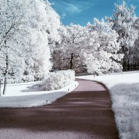 Pushkin infrared :: dp_tula 